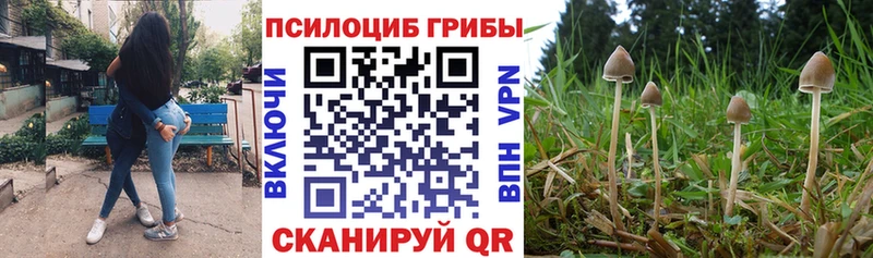 Галлюциногенные грибы MAGIC MUSHROOMS  Новокузнецк 