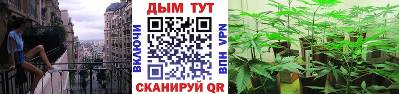 купить наркоту  Новокузнецк  Марихуана MAZAR 