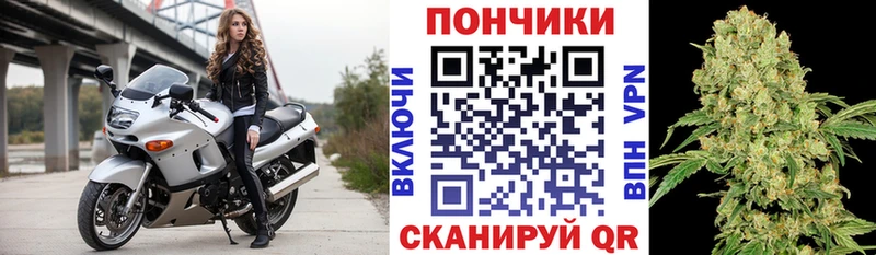 Конопля сатива Новокузнецк